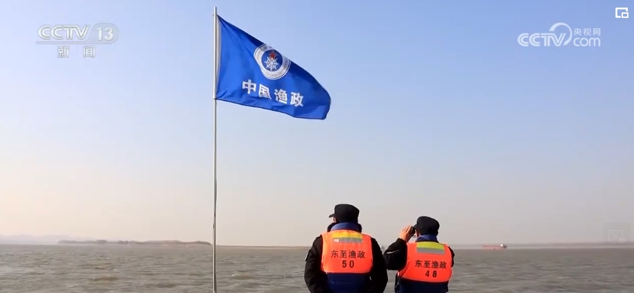 美嘉体育网址从“休养生息”到“生生不息” 长江水生生物资源恢复向好(图16)