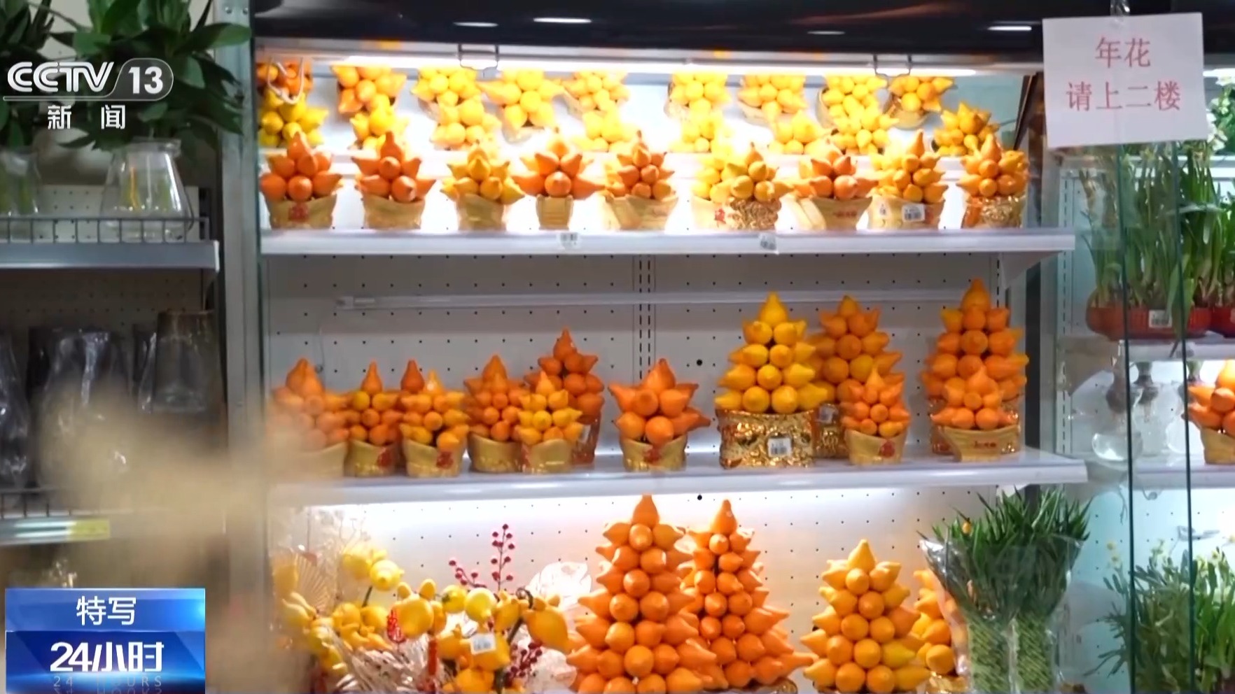 为居民送去春天的芬芳_看澳门“花先生”如何搭上政策快车 图6