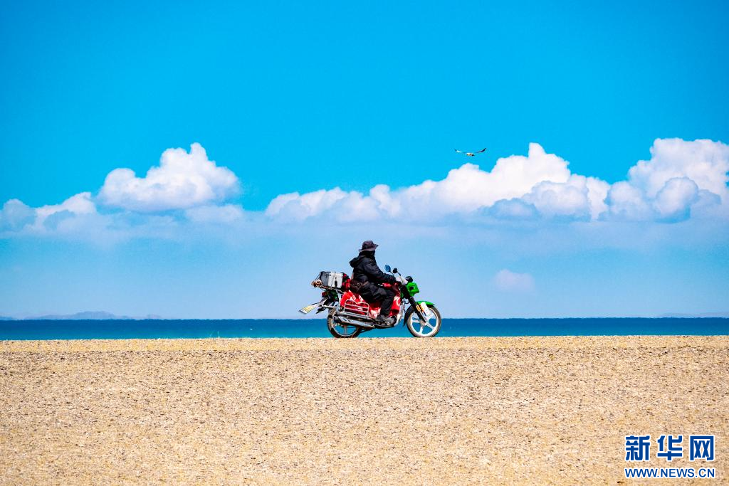 走近高原“精灵”的守护者 图2