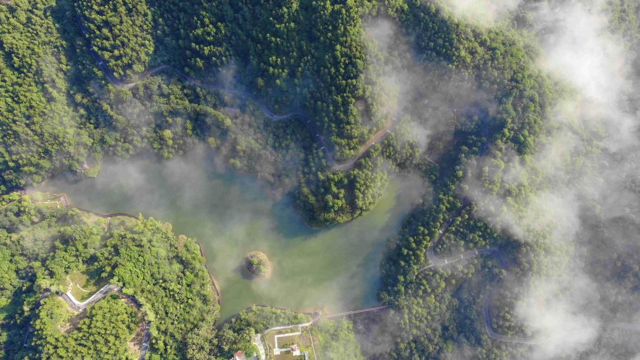 白江湖森林公园森林覆盖率约96%