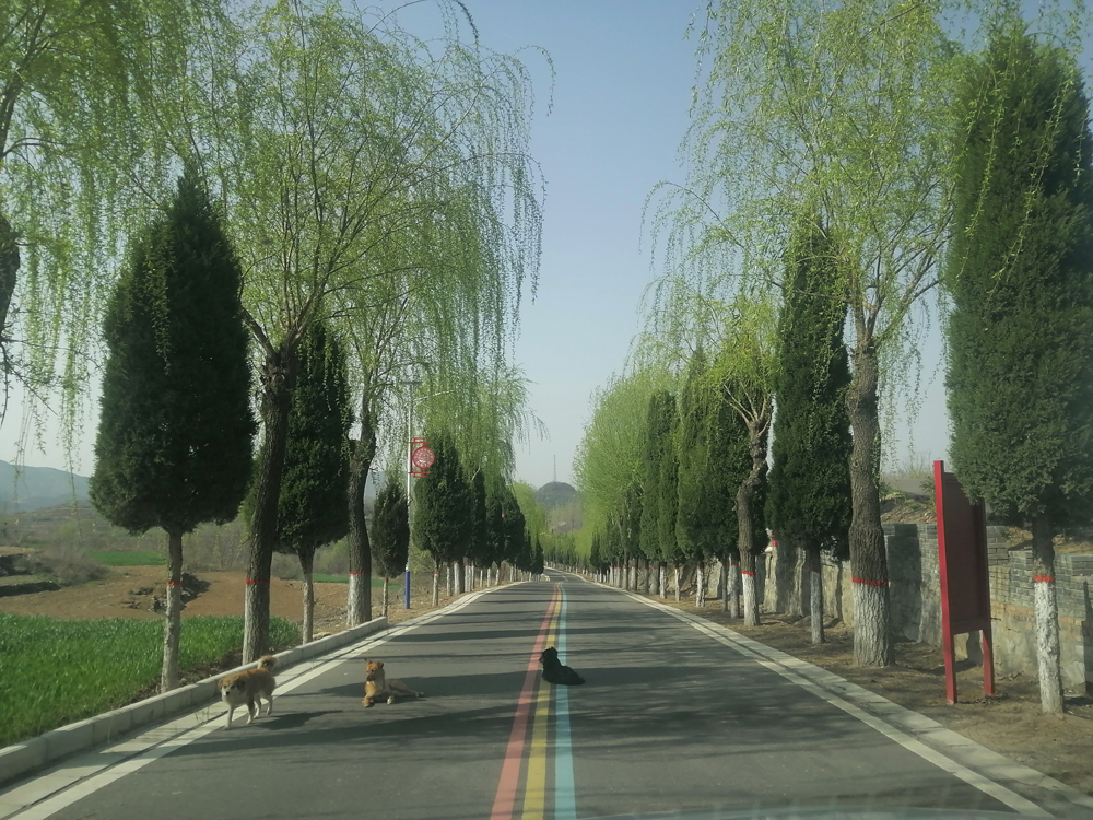 興和新村旅游新路