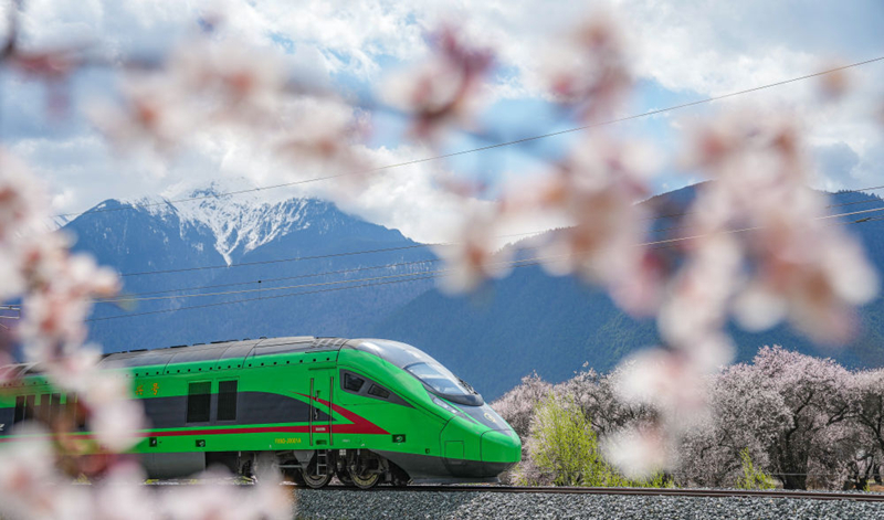2025年4月2日，復(fù)興號列車穿行在拉林鐵路林芝段。