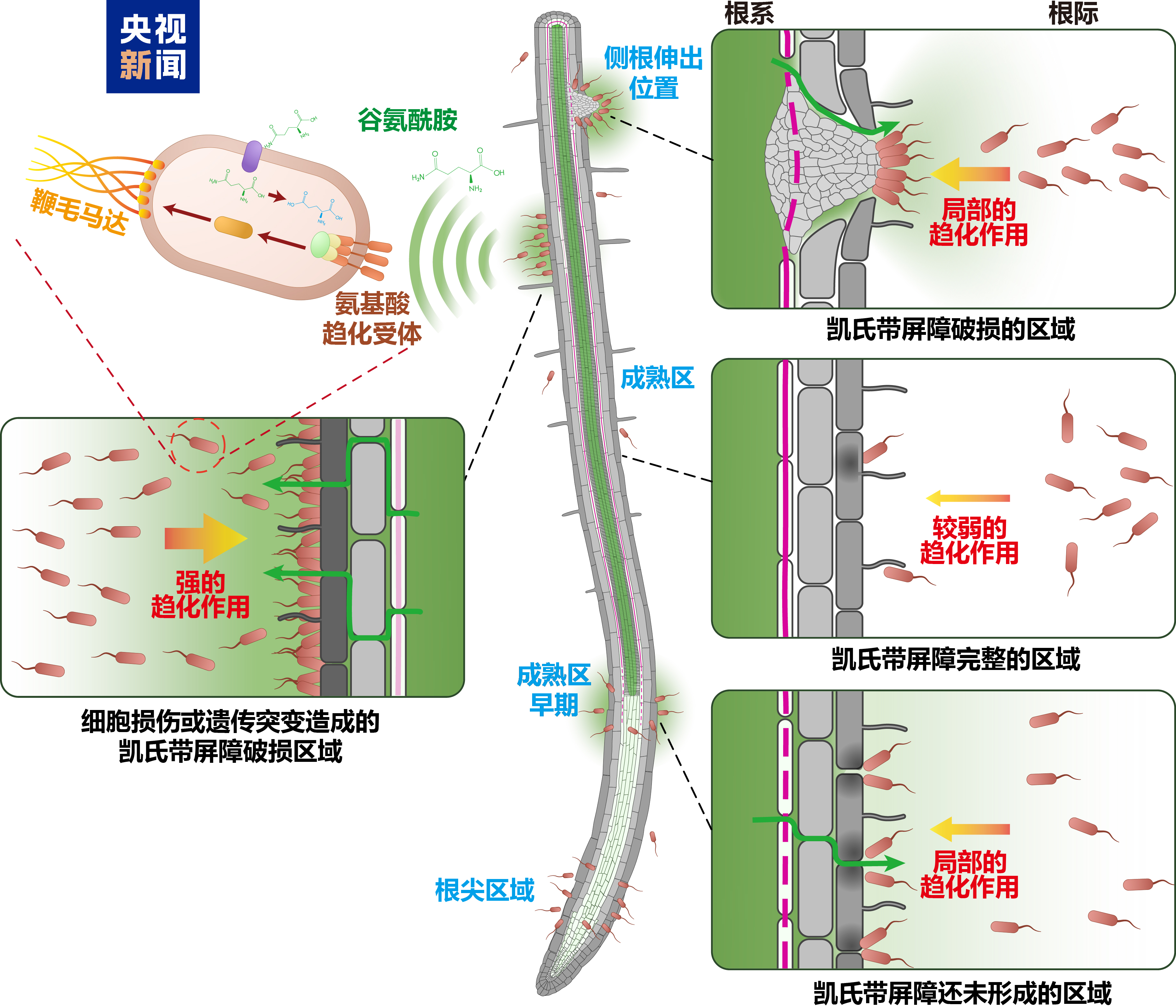 伊朗防长：伊朗军队时刻备战 应对一切威胁