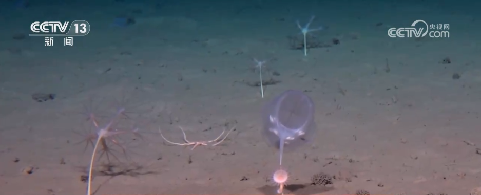 九游手机娱乐：挺进万米深渊 用“大国重器”解锁中国深度(图10)