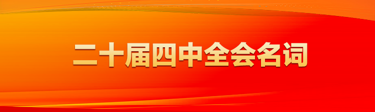 二十屆四中全會系列名詞