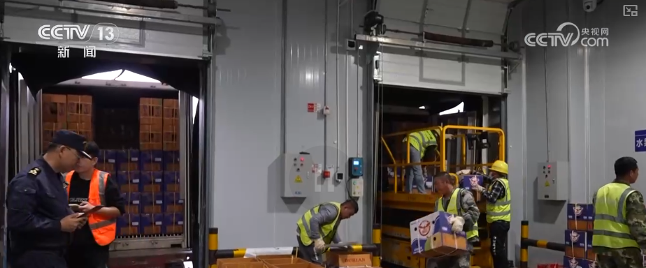 2025年外贸亮眼“成绩单”新观察·外贸增长“新”动能从“新三样”→N样”(图15)