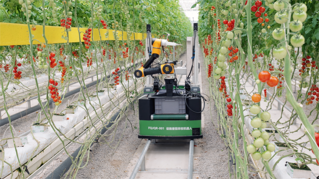 新春走基层|新农人守岁新农机巡田采摘!未来农业的春天来了(图2)