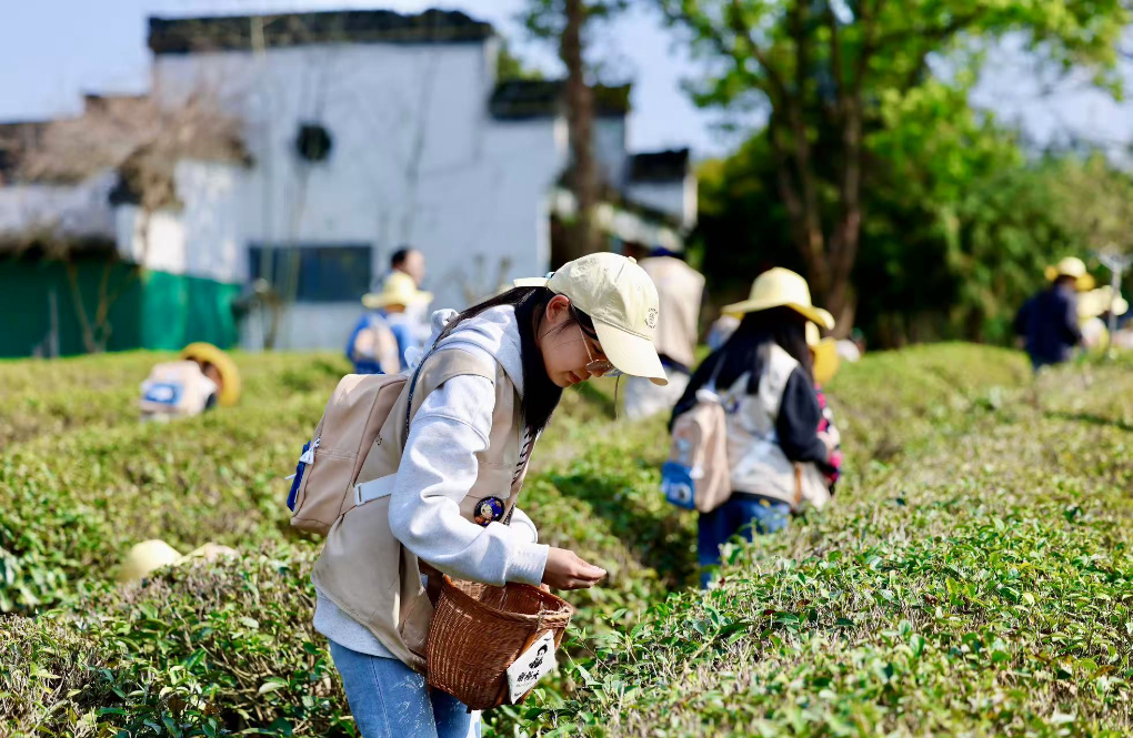 踏春好春假给孩子带来多彩课堂(图3)