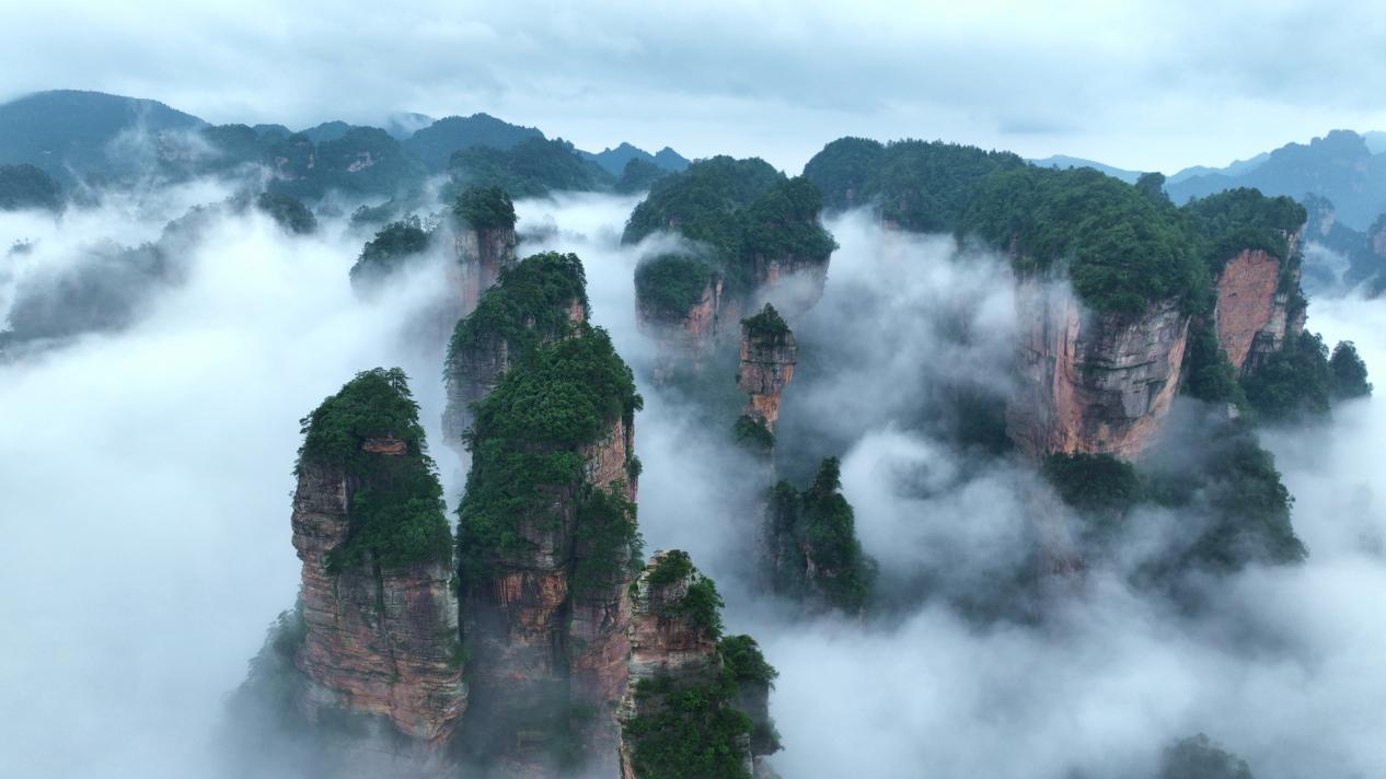 张家界地貌峰林云海(张洪涛/摄)