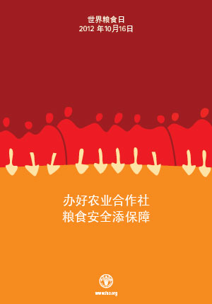 中国粮食日手抄报_中国人均粮食消费(3)