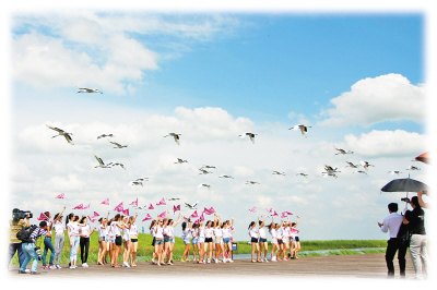 鹤文化艺术节舞动美丽鹤城