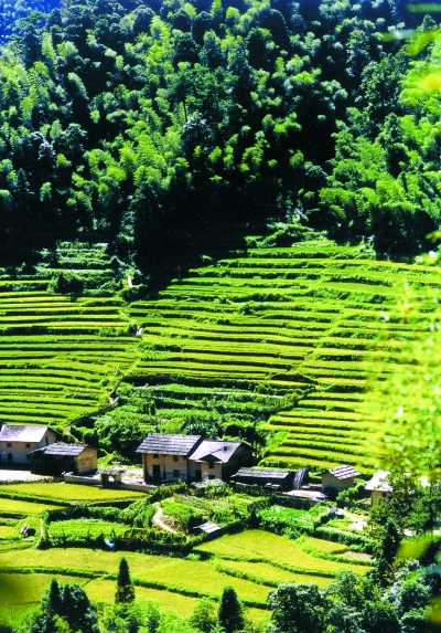 解决扶贫到户最后一公里问题_党建_共产党员