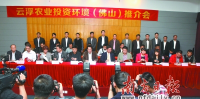 温氏生猪有望云浮屠宰 佛山销售