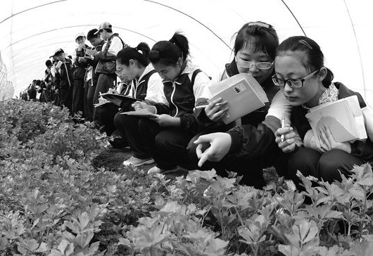 照片:黄岛弘文学校初中部学生近日走进