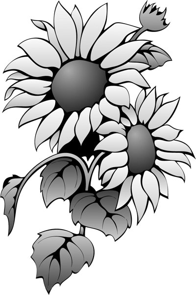 青年价值取向与社会价值取向