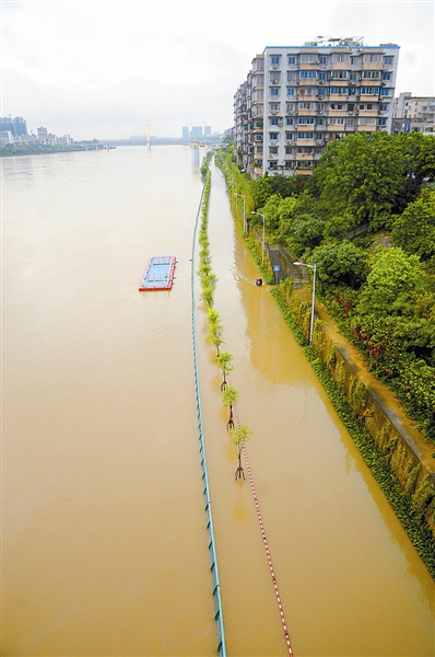 广西首次发布洪水黄色预警