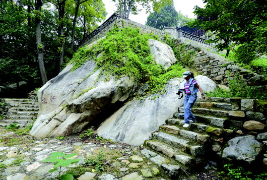 物华天宝处 乡情正浓时