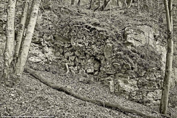 天体主义者拍摄绝妙照片 大家一起找亮点