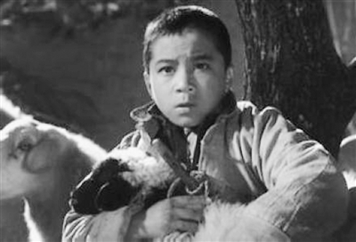 滚动新闻    那么,作为虚构的文艺作品人物,海娃的原型如果不是王二小