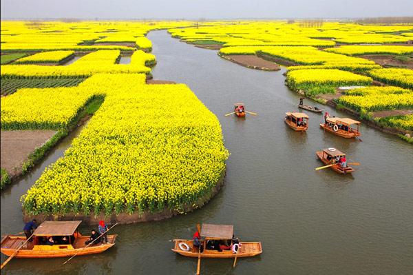 China busca que su tierra cultivable contaminada esté limpia en 2020