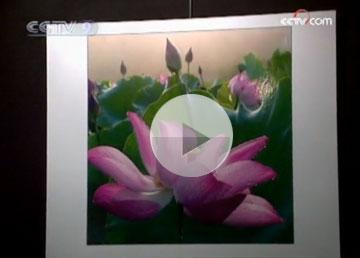 Watch&nbsp;Video