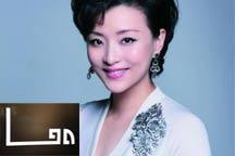 Chinese brands tap lucrative luxury market 