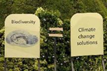 Durban climate change talks begin