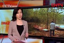 Sub-anchor: Water quality at Danjiangkou reservoir