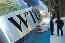 WTO brings changes to foreign trade companies 