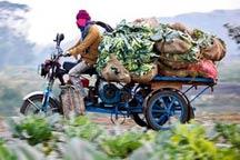 Brazil experiences sharp inflation hike 