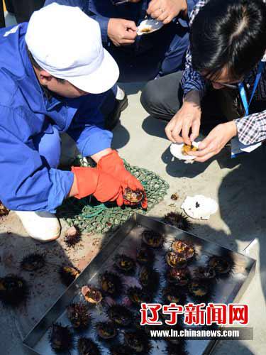 The 1st Annual World Congress of the Ocean has been held in the port city of Dalian, in northeast China.