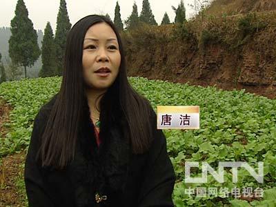 cctv7致富经养土鸡视频:养殖土鸡,唐洁,打工妹在