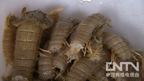 把饺子做成一绝的女人 饺子