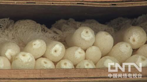 <em>盯上穿裙子的竹姑娘</em>好赚钱 竹姑娘-食品商务网