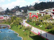 走進麥衝新農村