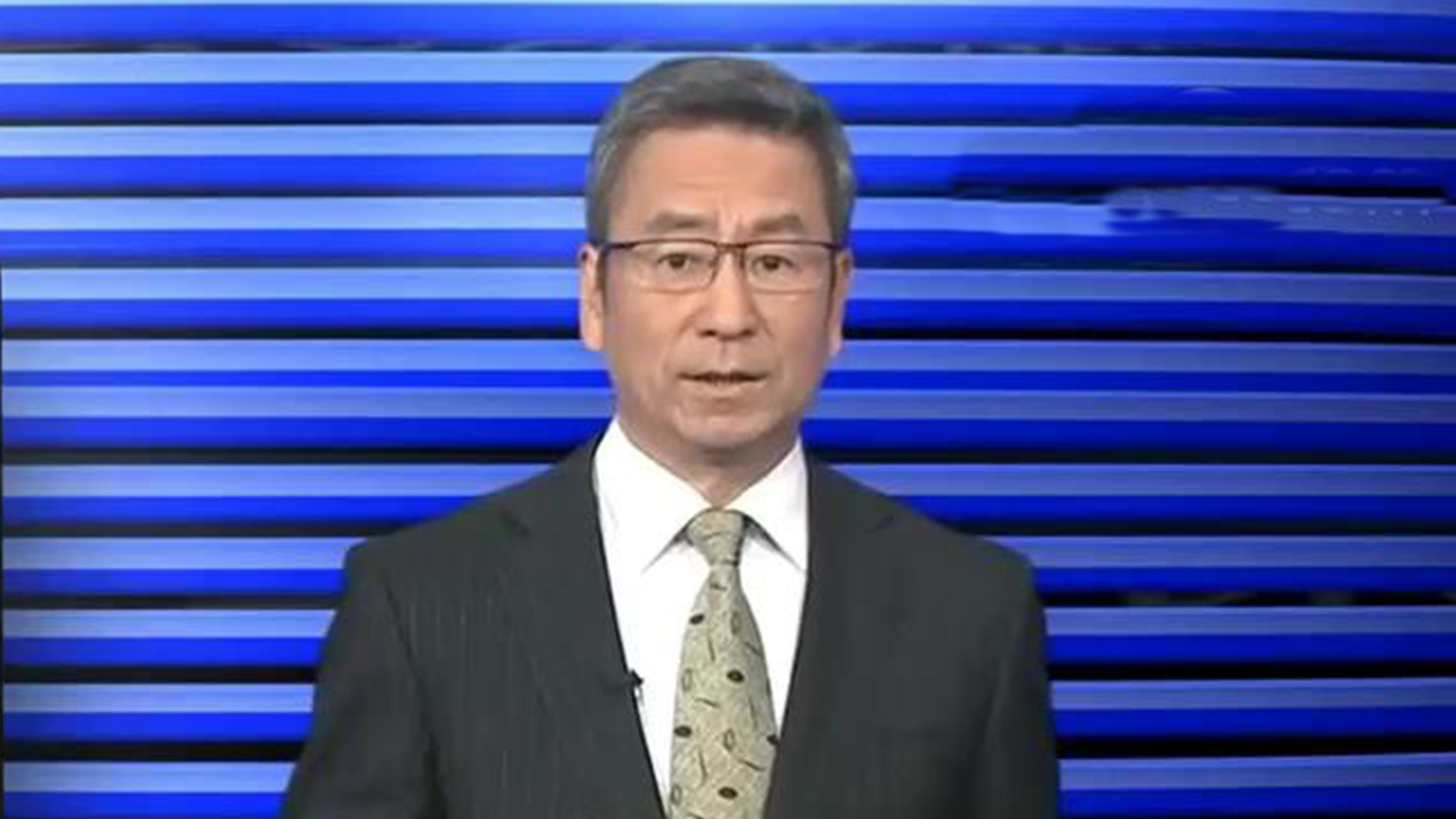 白岩松谈潼关肉夹馍商标事件