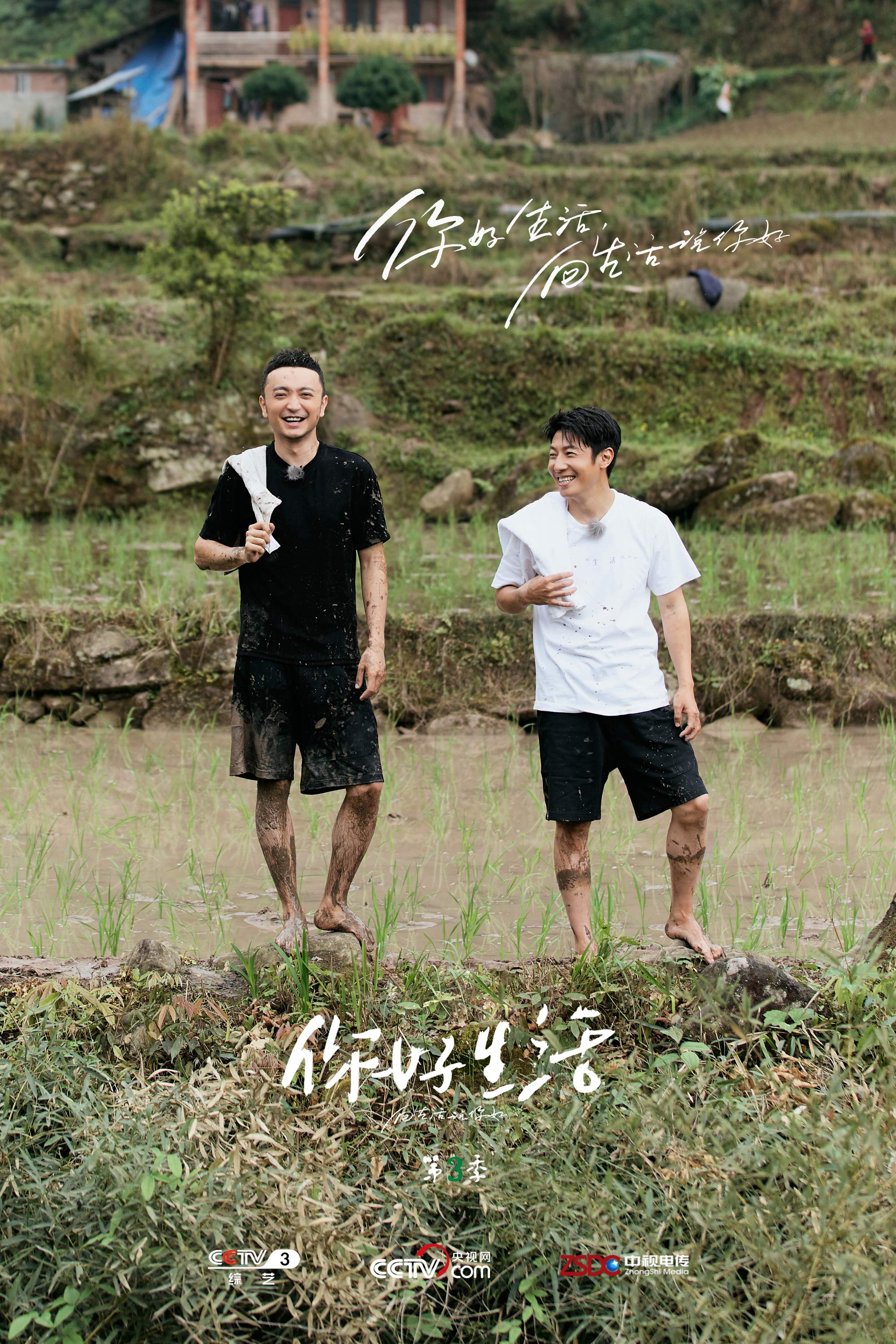 撒贝宁遭遇倪萍 反尔赛 你好生活3 下田插秧欢乐多