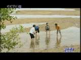 野河畔的男子汉 6集