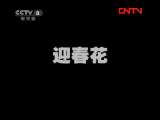 迎春花 3集