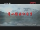青山绿水红日子 15集