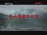 青山绿水红日子 18集