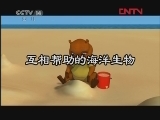 野生动物宝宝 9集