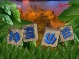 神奇山谷 78集