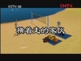 野生动物宝宝 6集