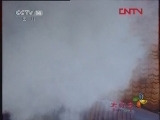 神奇山谷 87集
