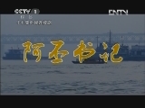 阿丕书记 18集