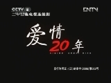 爱情二十年 14集