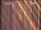 不要问我从哪里来 10集