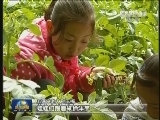 【走基层 寻找最美乡村教师】一个老师 一座花园