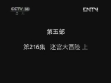 小鸡不好惹第五部 215集